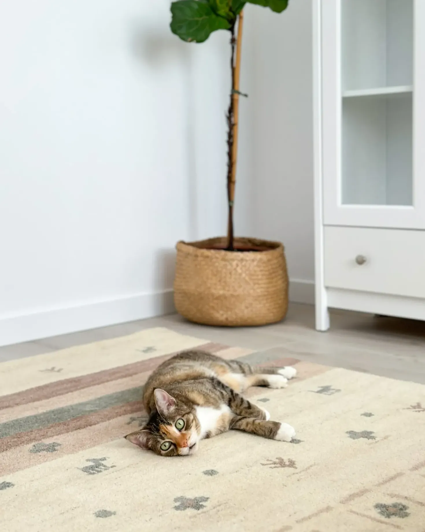 Gulvtæppe KARLI Beige 160 x 230 cm Uld Gabbeh