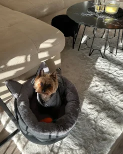Hundepude KEPEZ Grå
