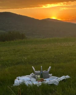 Picnic-kurv GROSEILLE Flet Grå